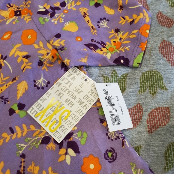 NWT Bundle of 2 LuLaRoe Classic T-shirts size XXS - Picture 4 of 6